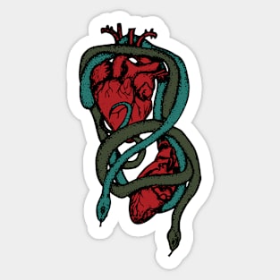 Color Snakes with Human Hearts Sticker